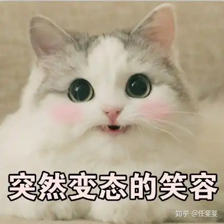 我叫山鸡表情包白痴