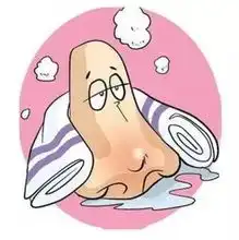 春天到啦四个妙招教您预防过敏性鼻炎