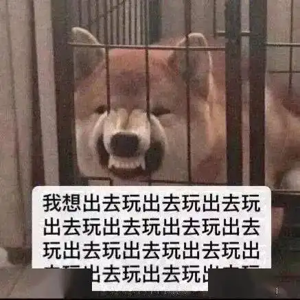 四川人,放假通知