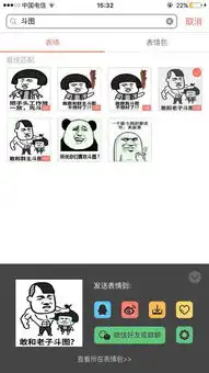 朋友在微信里发的表情包,里面的文字是自己添加的,请问是什么软件做的并且她发图的速度很快