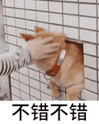 搜狐旅游搜狐网
