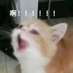 嗷嗷叫的表情包哈欠