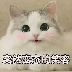 2019全年营销日历营销热点大全新媒体必备
