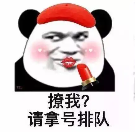 熊猫头表情包撩我请拿号排队