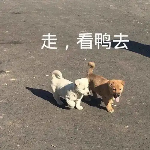 太骚了得吃药