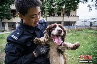 静若处子动如脱兔,这些凶猛警犬也会卖萌