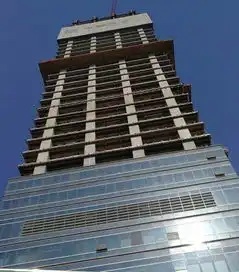 武汉高楼外立面丑哭武汉人表示大写加粗地不服