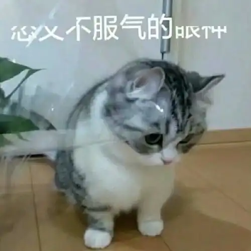 深夜暴雨预警龙舟水前奏昨夜特供闽南厦门未来几天将
