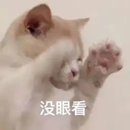 台风可能在憋大招珠海即将进入一年最热的时候