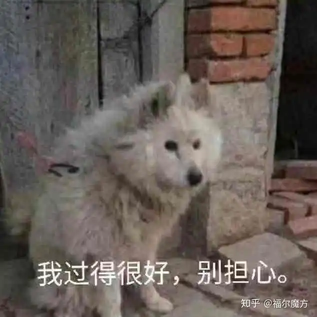有没有朋友圈名媛拼团的沙雕文案