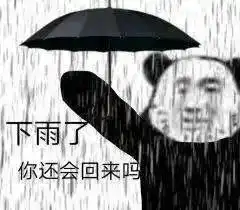 下雨了送你回家表情包表