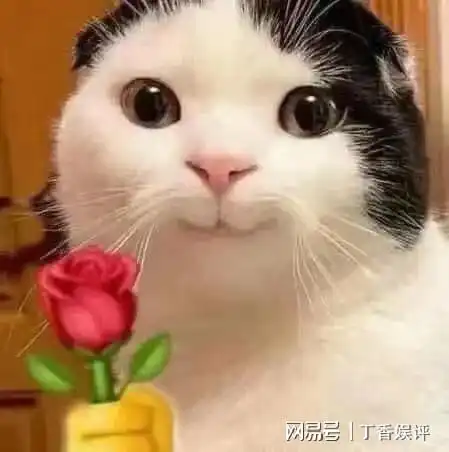 情伤算什么专注自己,姐姐独美