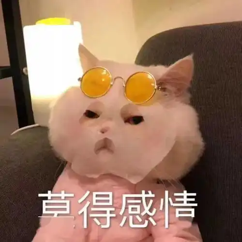 事发厦门演武大桥女子突然跳入海中