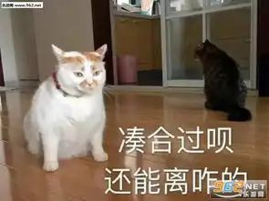 凑合过呗还能离咋的表情包你坏坏表情包图片下载乐游网游戏下载