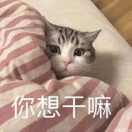 可爱猫咪表情包合集不理你了哼
