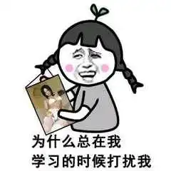 谈什么恋爱一起荡秋千啊