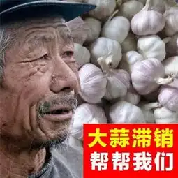 生意兴隆表情包生意兴隆微信表情包生意兴隆qq表情包发表情fabiaoqing.com