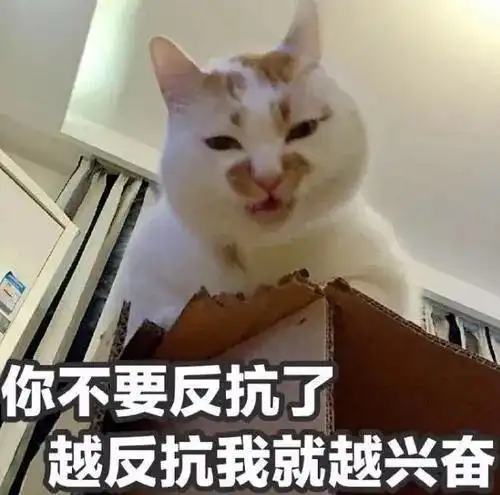 如果被一个肌肉女爱上了怎么办