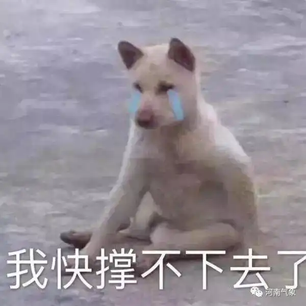 太刺激南昌天气又要反转