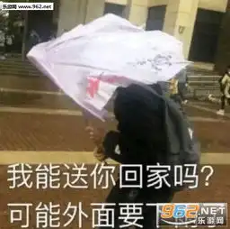 拒捕表情包暴雨梨花