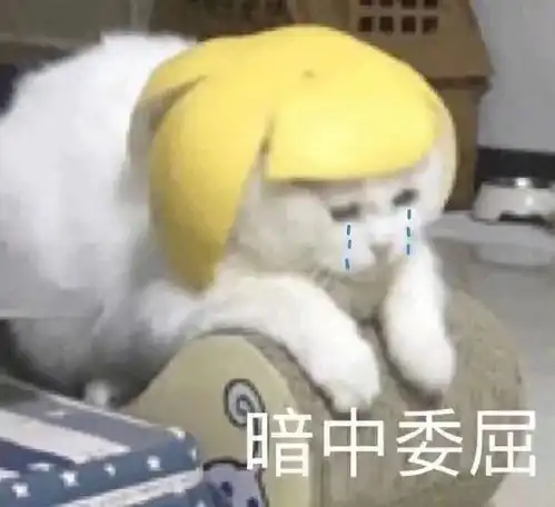 理性讨论男朋友以后要不要照顾自己的二胎妹妹