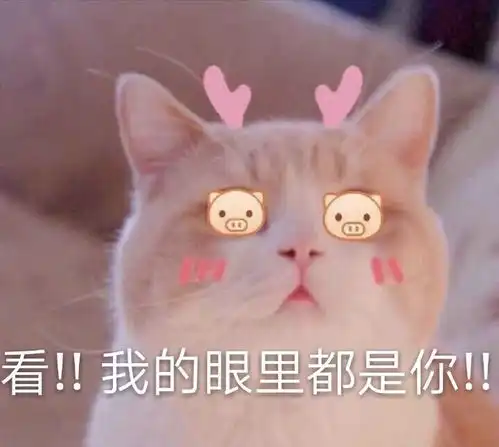 可以甜到男孩子的情话