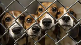 图片频道中国日报网