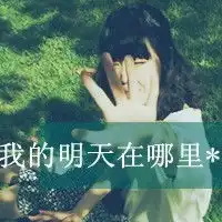 图片上的文字框是怎么弄出来的