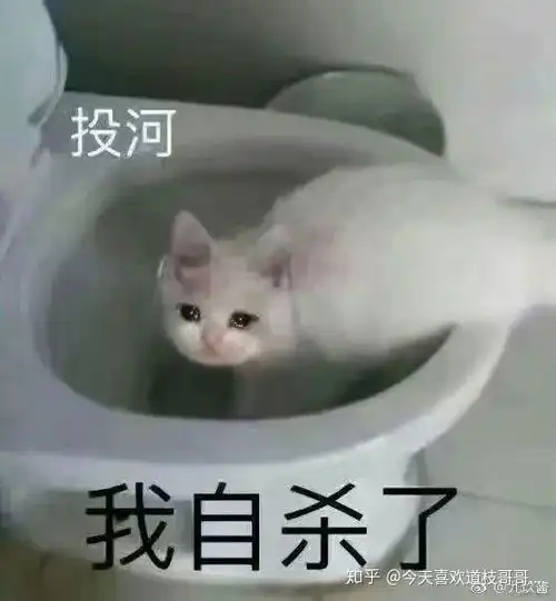 请问大家有这只泪眼汪汪的猫的表情包吗