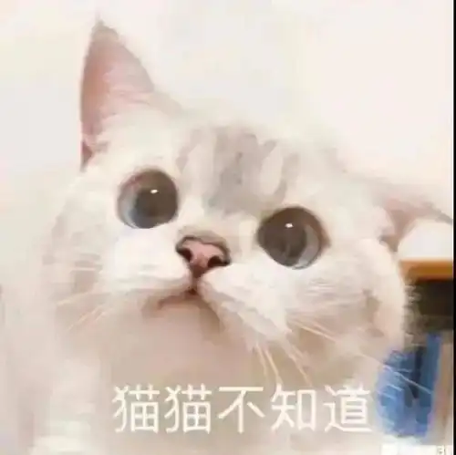 有一个工作号码是必要的吧