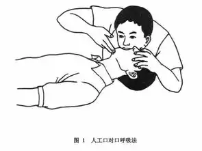 唱歌为了押韵,老外啥事儿都做得出来