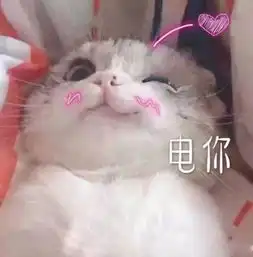 留部or退部少年人需要那一份不问前路的勇气
