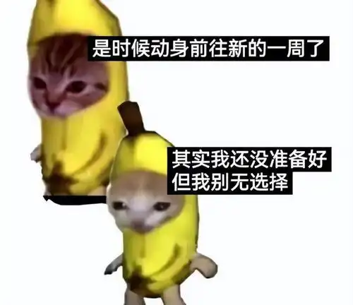 猴子图片搞笑表情包欠揍