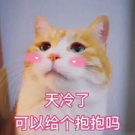 真人抱抱表情包图片猫咪