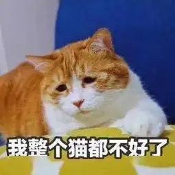 入夏接下去的天气很刺激还有这些事给你提个醒