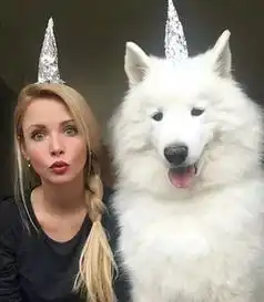 找男朋友不如养一只狗这妹子,真的把萨摩耶当男朋友来养了......