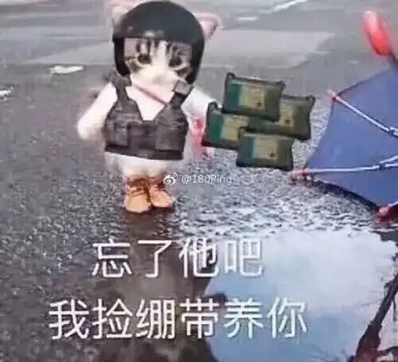 猪猪侠绷带表情包
