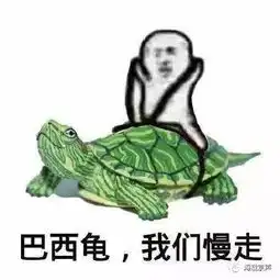 高考完那晚我被捡了