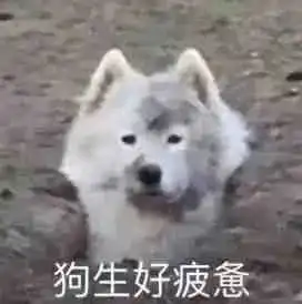 别吵了别吵了地铁电梯拎行李优先吗