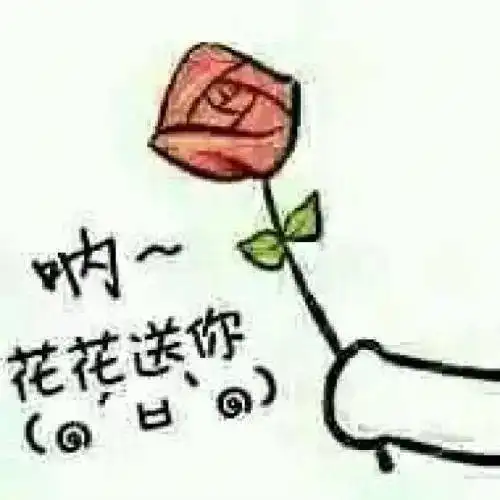 翔安隧道大堵,车流中一双胞胎孕妇羊水破了警察叔叔出手了