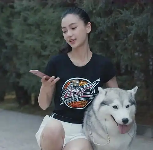 4种最多人养的宠物狗,第三种林俊杰成龙都养它