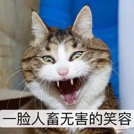 西虹市首富的精分常远是我本人日常没错了...