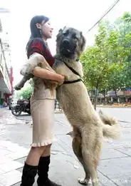 美女与野兽...