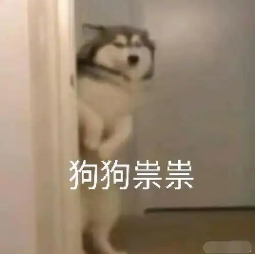 狗头像男生专用版沙雕表