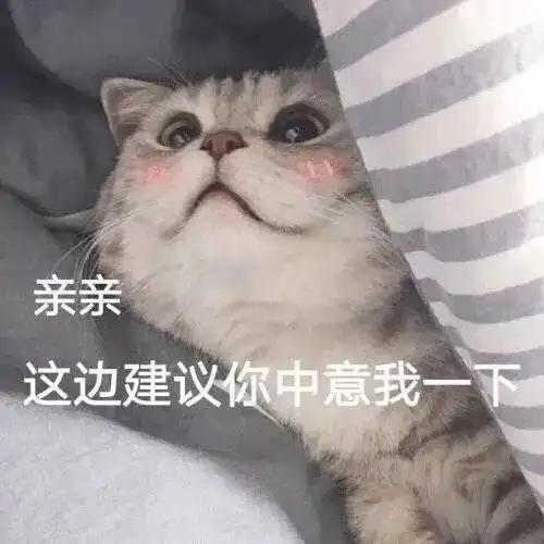 猫咪表情包我已经沉沦了