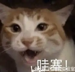 哔哩哔哩专栏