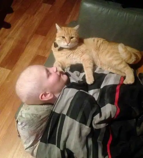 男孩救了橘猫,而在男孩罹患血癌时它不离不弃..