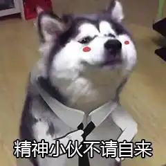 搞怪表情包图片图集单身