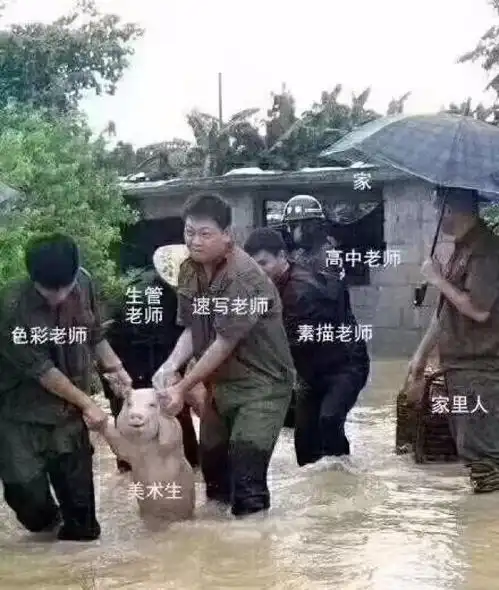 最近网上最热话题,每个专业都有自己的表情包