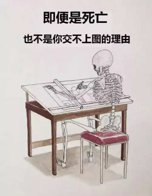 不明觉厉惊你竟是这样的专业